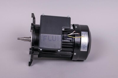 Astral Motor für NAUTILUS Silent Filterpumpe (HAN 65569R0475)