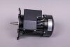 Astral Motor für NAUTILUS Silent Filterpumpe (HAN 65569R0475)