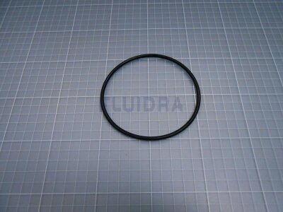 Astral O-Ring für Astral GSA Sprint (HAN 4405010376)
