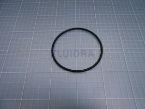 Astral O-Ring für Astral GSA Sprint (HAN 4405010376)