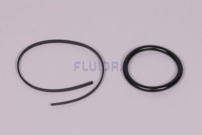 Astral O-Ring für UWS LumiPlus LED-PAR56 V2.0 Betonbecken Edelstahl  (HAN 4403010026)