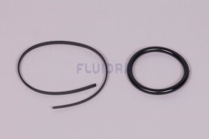 Astral O-Ring für UWS LumiPlus LED-PAR56 V2.0...