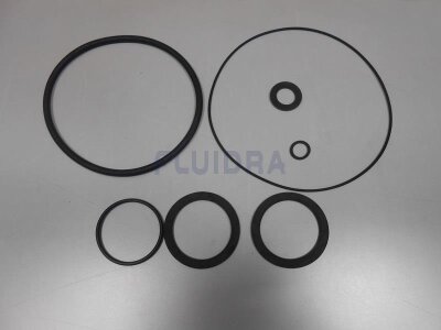 Astral Dichtung für Schwalldusche Welle Pumpe Victoria Plus (HAN 4405010104)