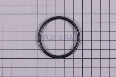 Astral O-Ring Weiß für Astralpool Wärmepumpe Pro-ELYO Inverboost NN Full  (HAN ZX133020026)