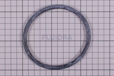 Astral O-Ring D. 100 x 6,99