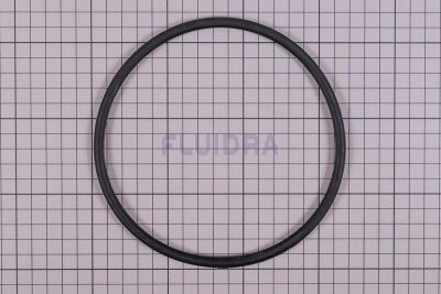 Astral O-Ring D. 151,7 x 6,99