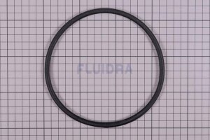 Astral O-Ring D. 151,7 x 6,99