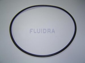 Astral O-Ring D. 226 x 6