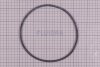 Astral O-Ring