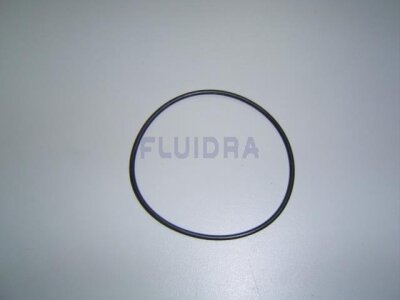 Astral O-Ring 89,5 x 3