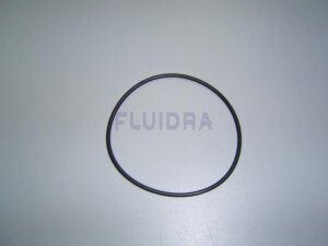 Astral O-Ring 89,5 x 3