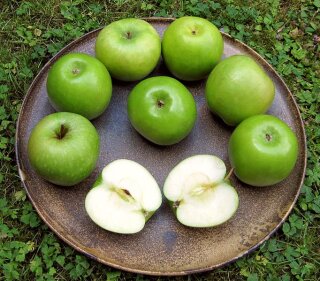 Grüner Apfel (Art.Nr.84055)