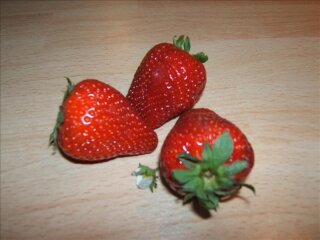 Erdbeere