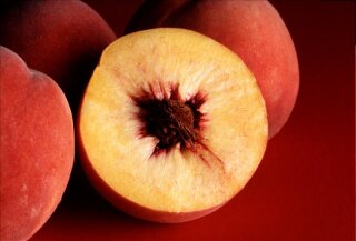 Pfirsich-Mandarine