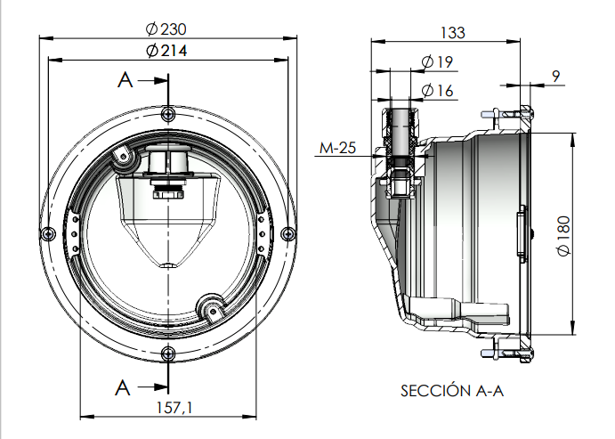 Ma&szlig;zeichnung der AstralPool LumiPlus FlexiPure Nische